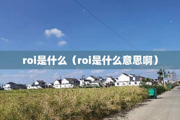 roi是什么（roi是什么意思啊）
