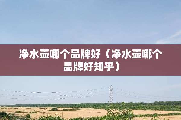 净水壶哪个品牌好（净水壶哪个品牌好知乎）