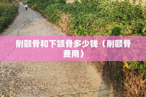 削颧骨和下颌骨多少钱（削颧骨费用）