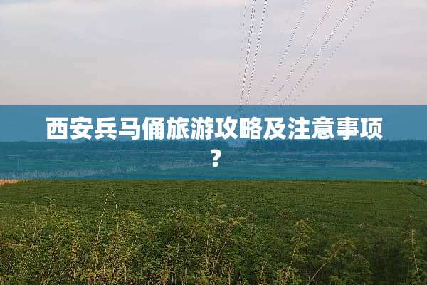 西安兵马俑旅游攻略及注意事项？