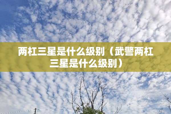 两杠三星是什么级别（**两杠三星是什么级别）