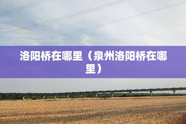 洛阳桥在哪里（泉州洛阳桥在哪里）