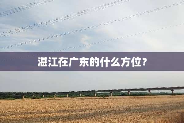 湛江在广东的什么方位？