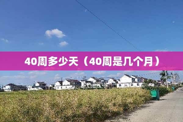 40周多少天（40周是几个月）