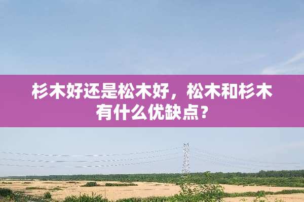 杉木好还是松木好，松木和杉木有什么优缺点？