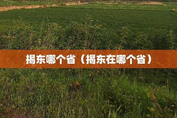 揭东哪个省（揭东在哪个省）