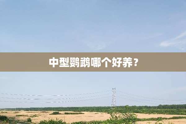 中型鹦鹉哪个好养？