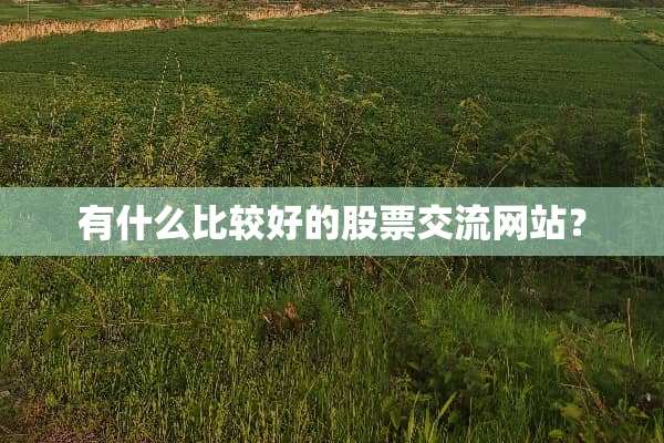 有什么比较好的股票交流网站？