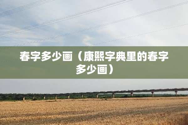 春字多少画（康熙字典里的春字多少画）