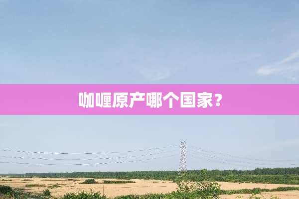 咖喱原产哪个国家？