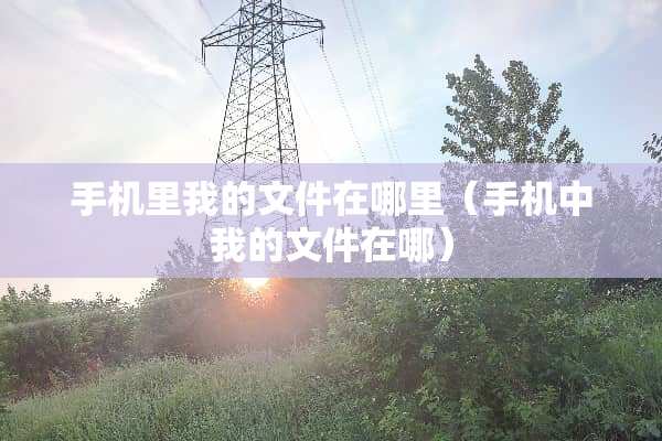 手机里我的文件在哪里（手机中我的文件在哪）