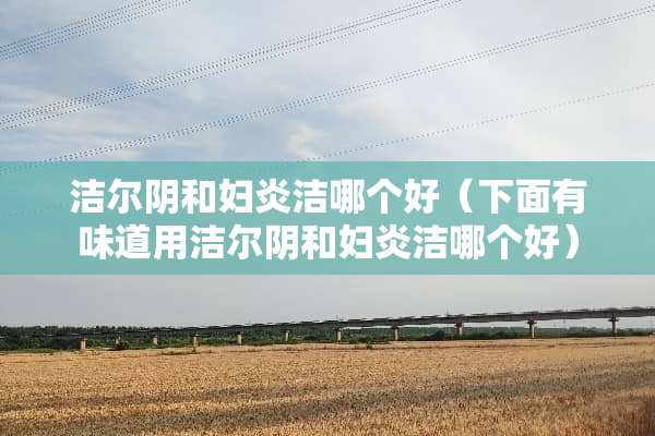 洁尔*和妇炎洁哪个好（下面有味道用洁尔*和妇炎洁哪个好）