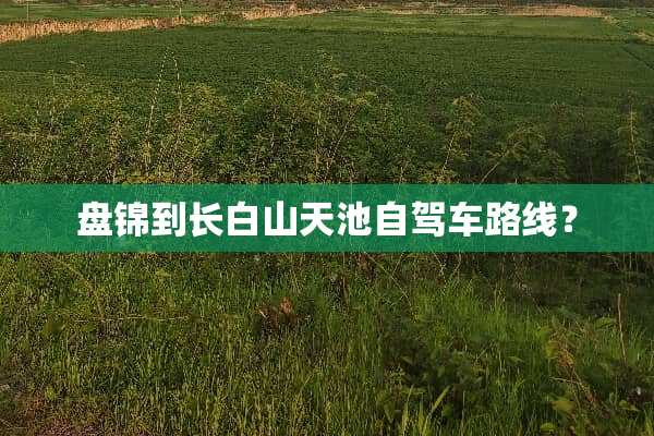 盘锦到长白山天池自驾车路线？