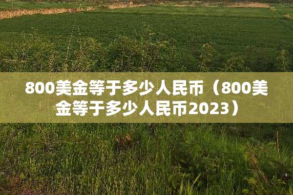 800美金等于多少人民币（800美金等于多少人民币2023）