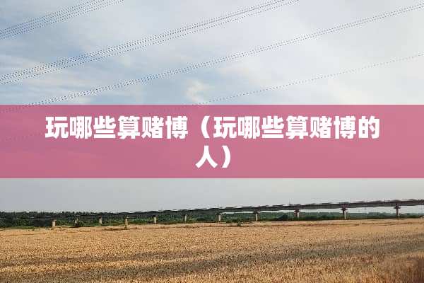 玩哪些算**（玩哪些算**的人）