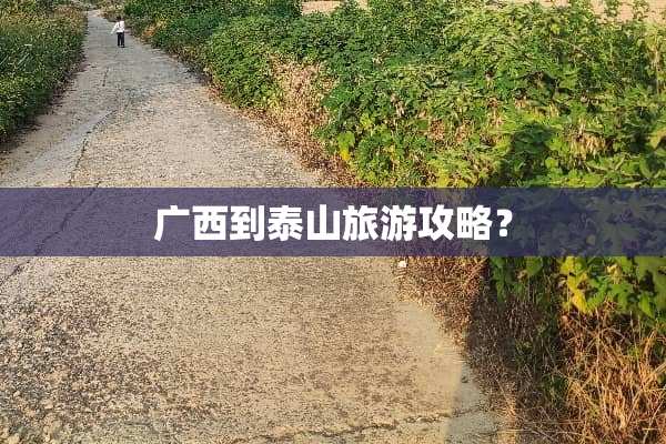 广西到泰山旅游攻略？
