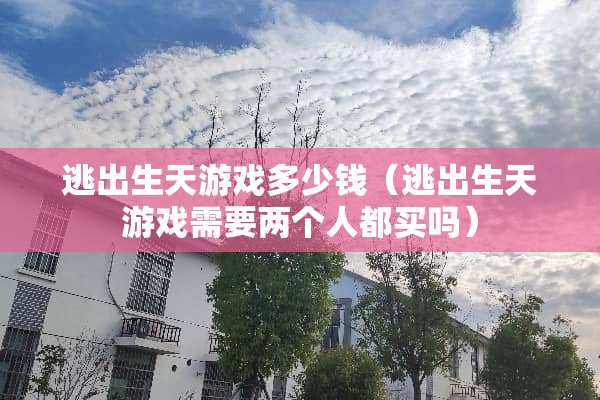 逃出生天游戏多少钱（逃出生天游戏需要两个人都买吗）