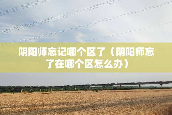 *阳师忘记哪个区了（*阳师忘了在哪个区怎么办）