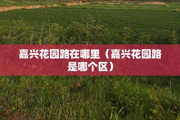 嘉兴花园路在哪里（嘉兴花园路是哪个区）
