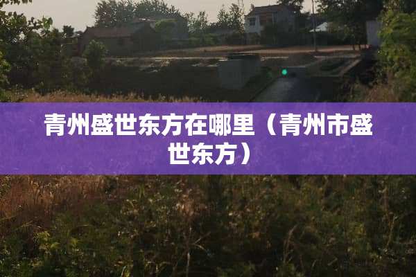 青州盛世东方在哪里（青州市盛世东方）