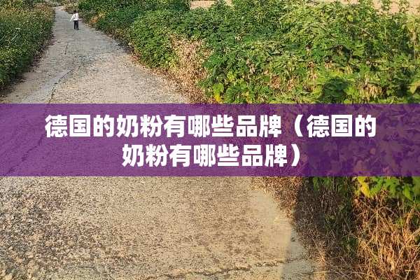 德国的奶粉有哪些品牌（德国的奶粉有哪些品牌）