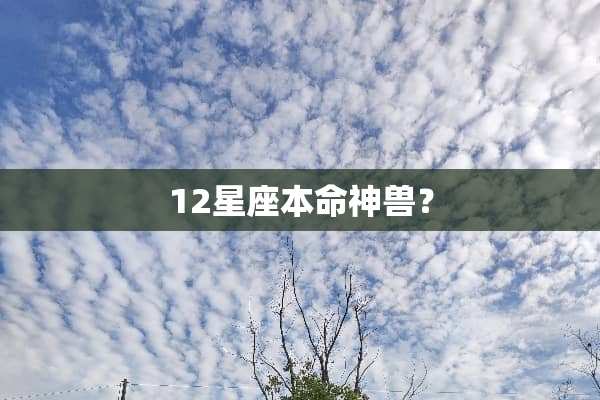 12星座本命神兽？