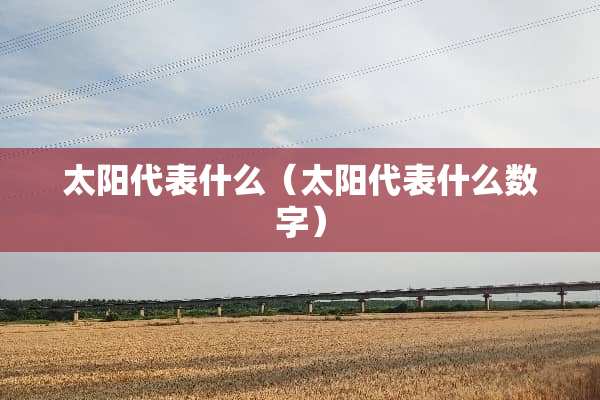 太阳代表什么（太阳代表什么数字）