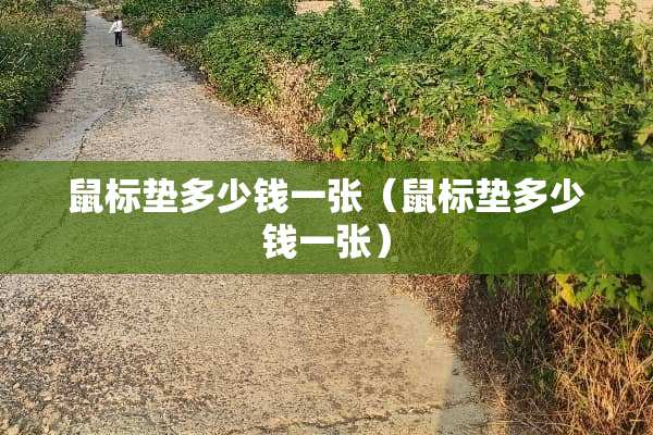 鼠标垫多少钱一张（鼠标垫多少钱一张）