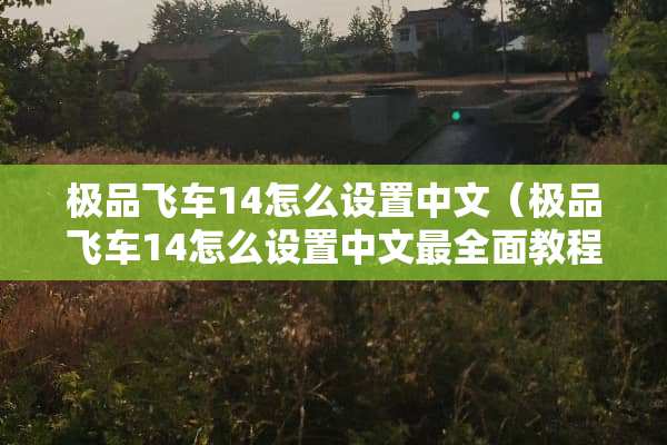 极品飞车14怎么设置中文（极品飞车14怎么设置中文最全面教程）