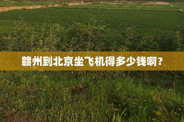 赣州到北京坐飞机得多少钱啊？