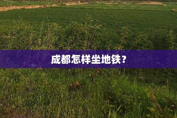 成都怎样坐地铁？