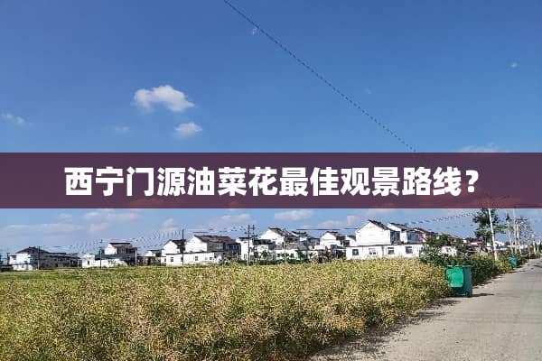 西宁门源油菜花最佳观景路线？