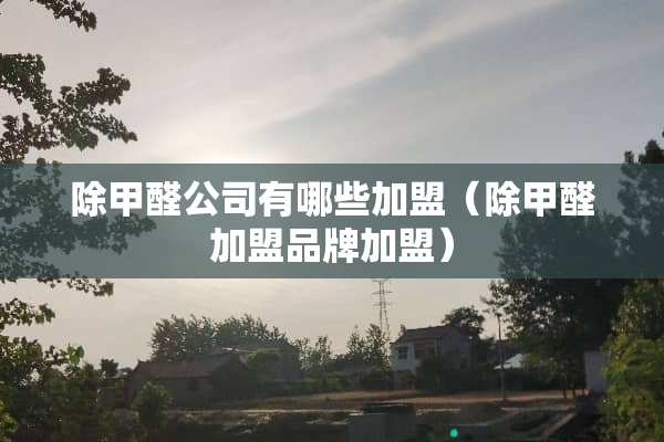除甲醛公司有哪些加盟（除甲醛加盟品牌加盟）
