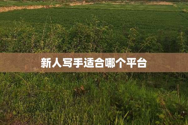 新人写手适合哪个平台