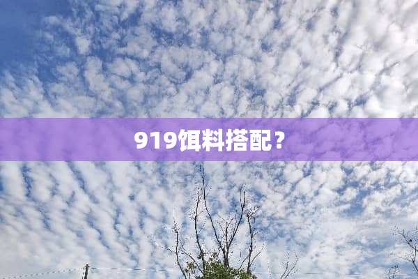 919饵料搭配？