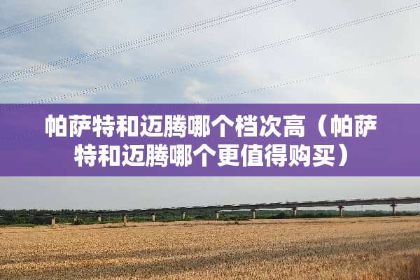 ***和迈腾哪个档次高（***和迈腾哪个更值得购买）