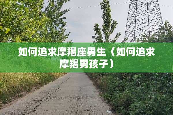 如何追求摩羯座男生（如何追求摩羯男孩子）