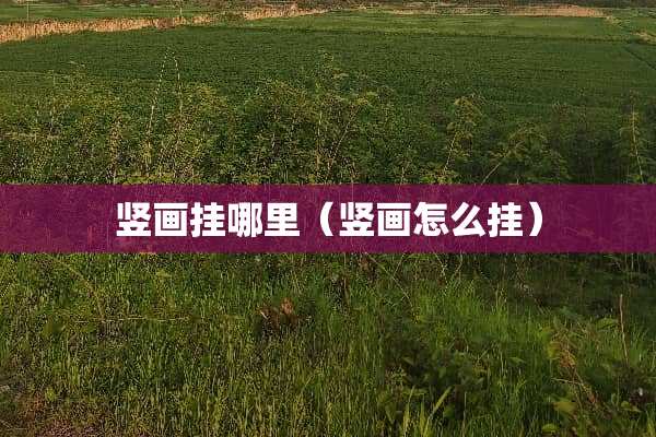 竖画挂哪里（竖画怎么挂）