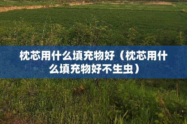 枕芯用什么填充物好（枕芯用什么填充物好不生虫）