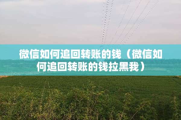 微信如何追回转账的钱（微信如何追回转账的钱拉黑我）