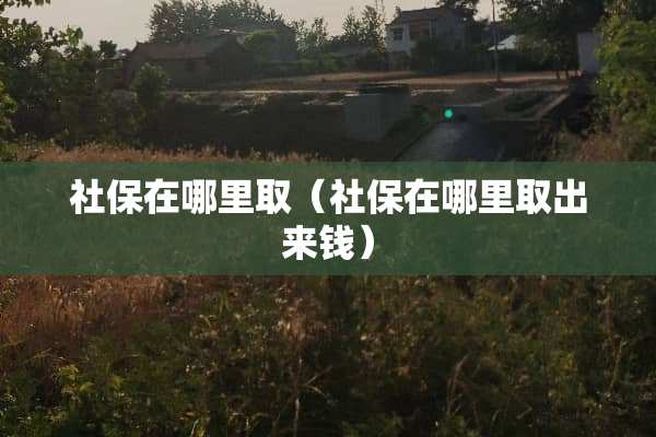 社保在哪里取（社保在哪里取出来钱）