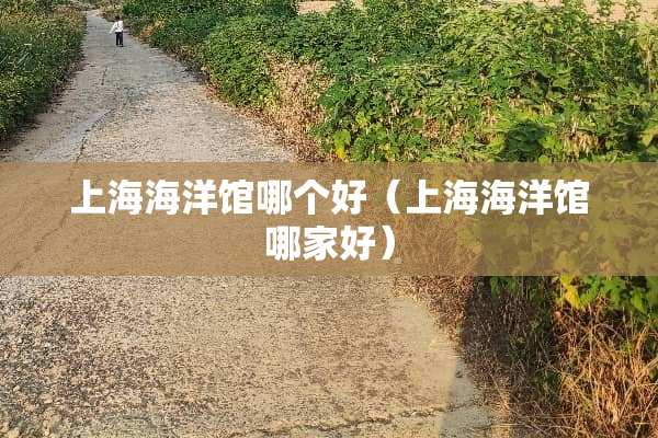 上海海洋馆哪个好（上海海洋馆哪家好）