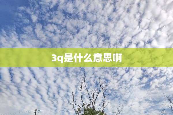 3q是什么意思啊