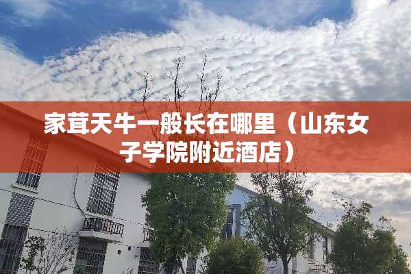 家茸天牛一般长在哪里（山东女子学院附近酒店）