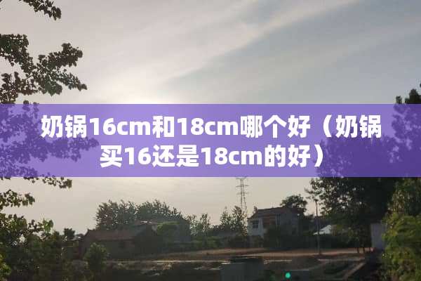奶锅16cm和18cm哪个好（奶锅买16还是18cm的好）