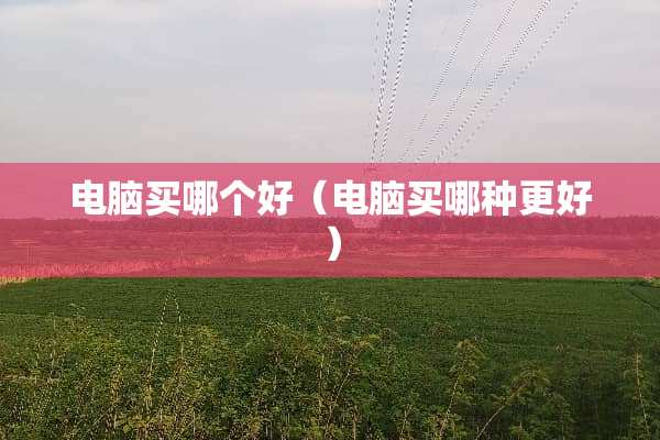 电脑买哪个好（电脑买哪种更好）