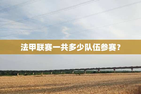 法甲联赛一共多少队伍参赛？