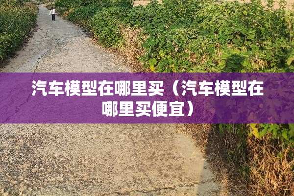汽车模型在哪里买（汽车模型在哪里买便宜）