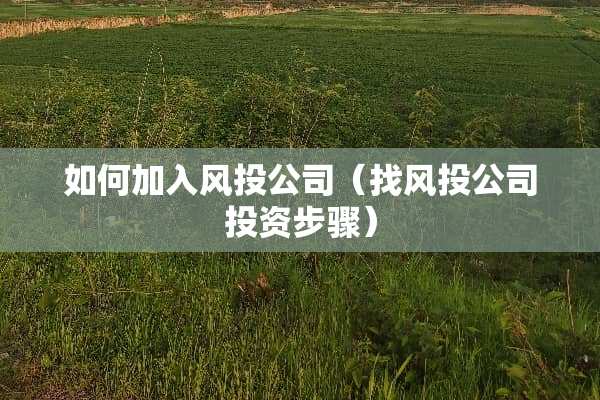 如何加入风投公司（找风投公司投资步骤）