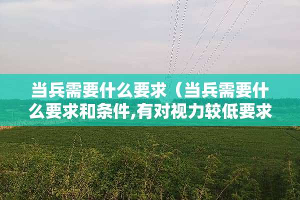 当兵需要什么要求（当兵需要什么要求和条件,有对视力较低要求）